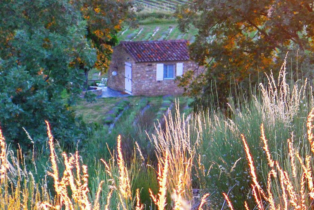 Quinta Das Lavandas Castelo de Vide Eksteriør bilde