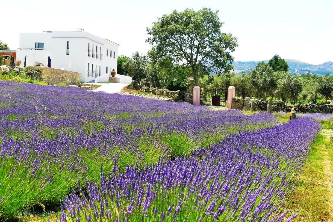 Quinta Das Lavandas Castelo de Vide Eksteriør bilde